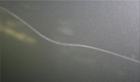 ce11b10e6110.jpg
