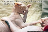 9b9fb1ca95a2cfd55e8ab1bba2991cf2.jpg