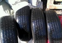 IMAG0167-1-1-1.jpg