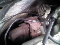 IMG_20120607_124349.jpg