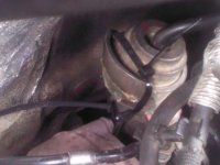 IMG_20120607_124405.jpg