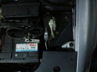IMG0291.jpg