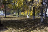 IMG_0194.JPG