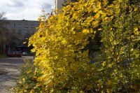 IMG_0195.JPG