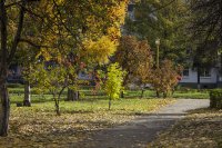 IMG_0197.JPG
