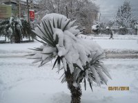 IMG_1775.JPG