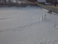 20160123_104847.jpg