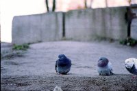 Untitled (106).jpg