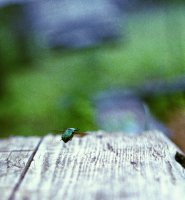 Untitled (53).jpg