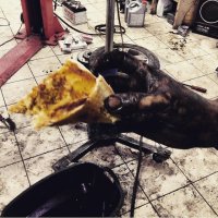 k9RJ6ekcE30.jpg