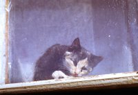 Untitled (12).jpg