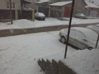 20160402_094128.jpg