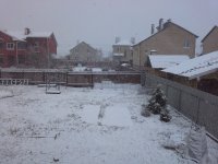 20160402_094104.jpg