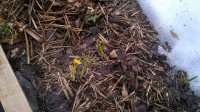 WP_20160403_12_36_20_Pro.jpg
