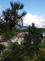 20150615_162111.jpg