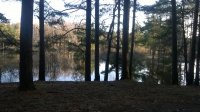 WP_20160408_17_38_42_Pro.jpg