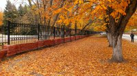 IMAG0272.jpg