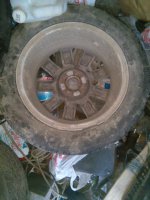 IMG_20160418_173211.jpg