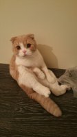 20160517_231136.jpg