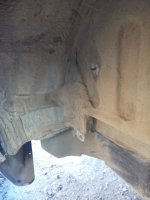 IMG_20160710_185034.jpg