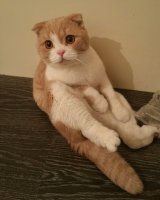 20160517_231132.jpg