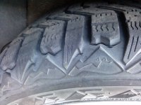 IMG_20161104_134533.jpg