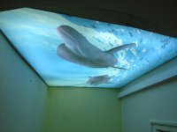 IMG_0187-1024x768.jpg