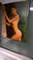 WP_20170306_15_23_59_Pro.jpg