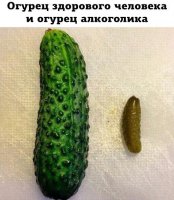 vhuvTDTMEcs.jpg