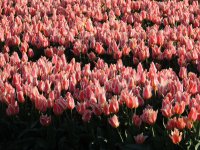 DSCN9978.JPG