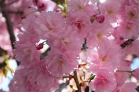 IMG_0863.JPG