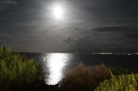 IMG_1546.JPG