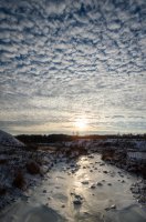 _DSC7589.jpg