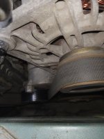 IMG_20170811_103705[1].jpg
