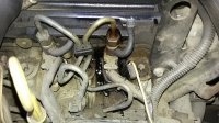20171004_082406.jpg