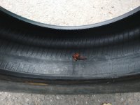 IMG_20171007_094127.jpg