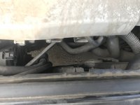 IMG_3862.JPG