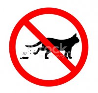 27905968-cat-forbidden-excrement.jpg