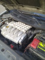 IMG_20180927_085937[1].jpg