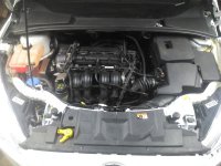 IMG_20181121_213952[1].jpg
