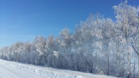 20190120_131844.jpg