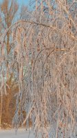 20190120_093321.jpg