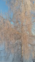 20190120_093259.jpg