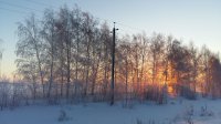 20190120_091759.jpg