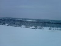 P110115_12.35.jpg