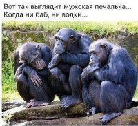 Мужская Печалька.jpg