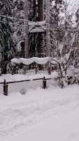 20190204_102836.jpg