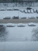 IMG_20190303_105502.jpg