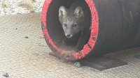 20160725_172620.jpg