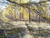 P_20170920_143020_HDR.jpg